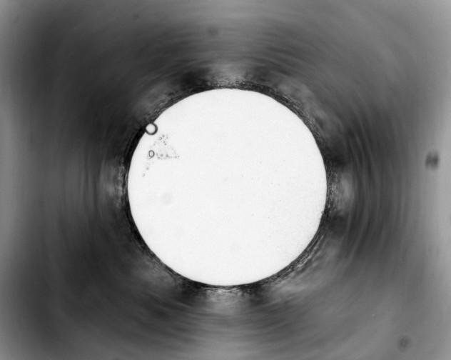 X0000103910525200810101310