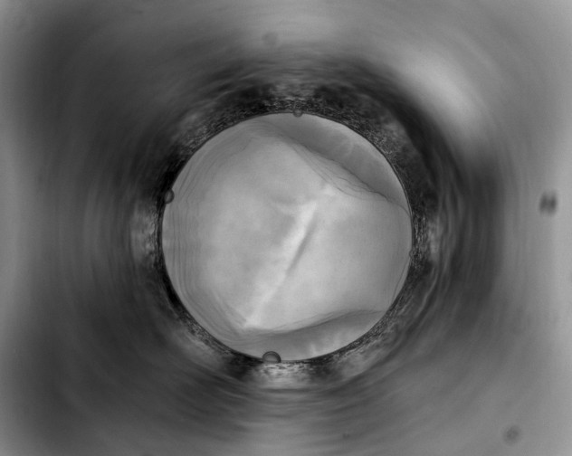 X0000103910526200810101310