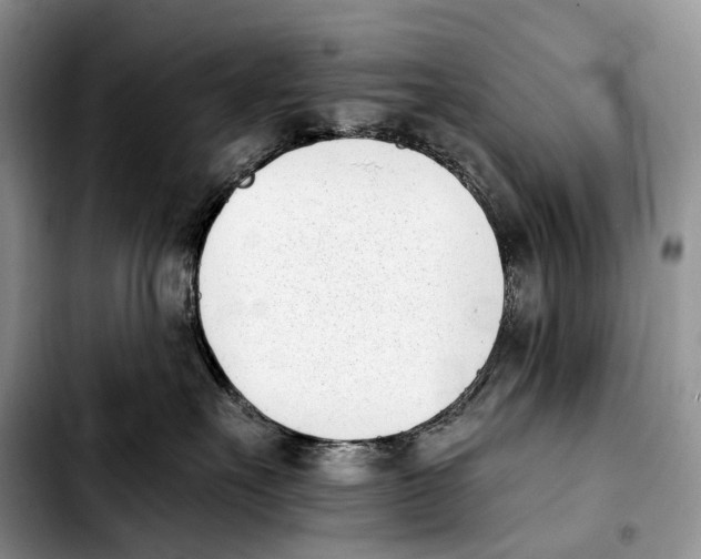 X0000103910527200810101310