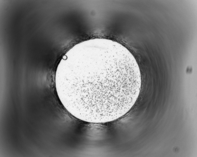 X0000103910528200810101310