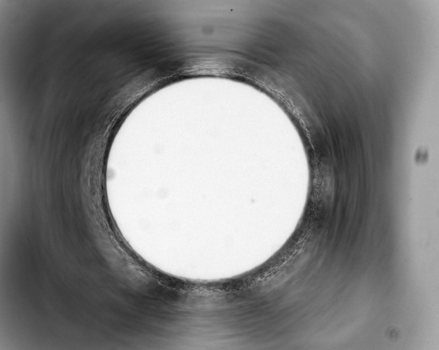 X0000103910529200810101310