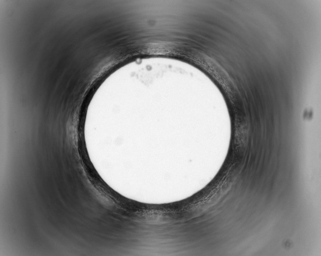 X0000103910530200810101310