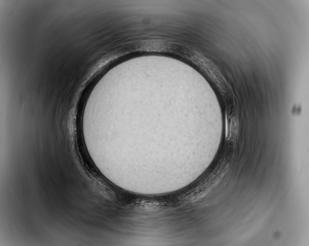 X0000103910531200810101310