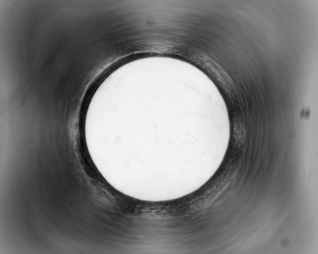 X0000103910532200810101310