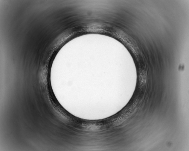 X0000103910533200810101310