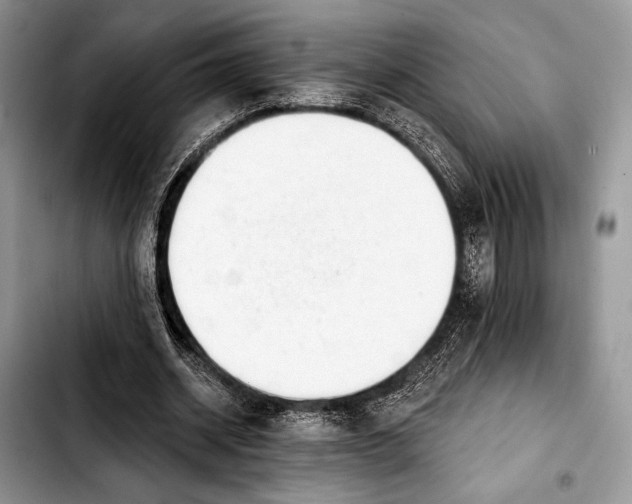 X0000103910534200810101310