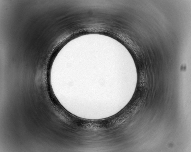 X0000103910535200810101310