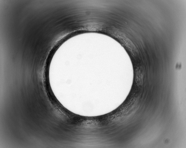 X0000103910536200810101310