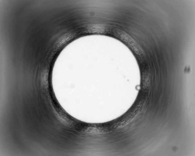X0000103910538200810101310
