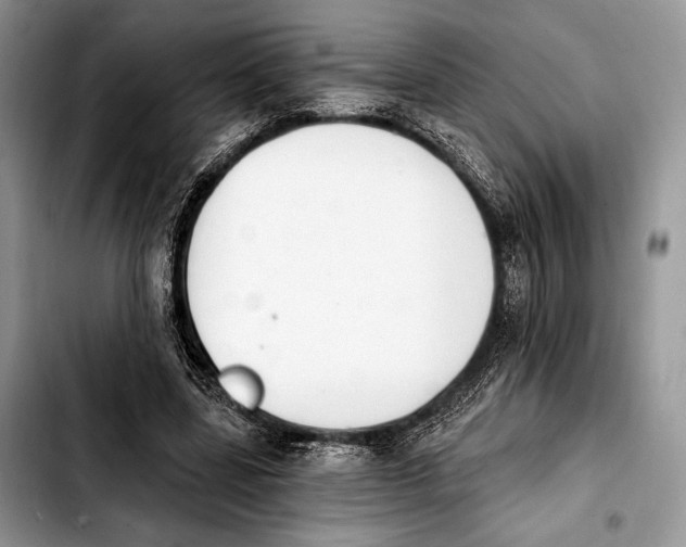 X0000103910539200810101310