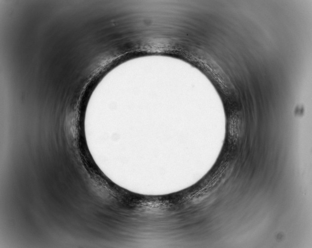 X0000103910540200810101310