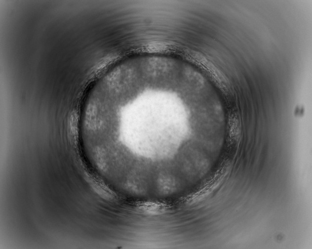 X0000103910542200810101310