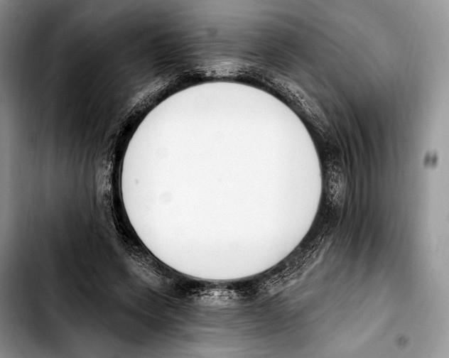 X0000103910543200810101310