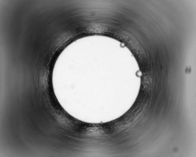 X0000103910544200810101310