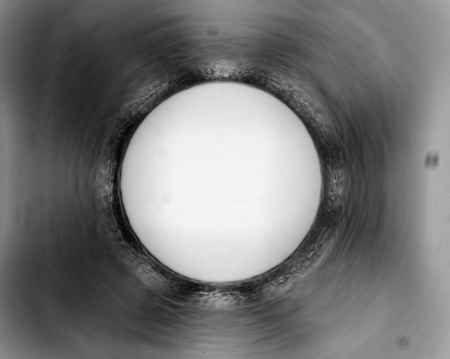 X0000103910545200810101310