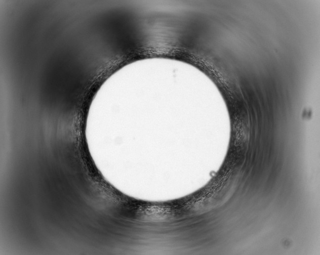 X0000103910546200810101310