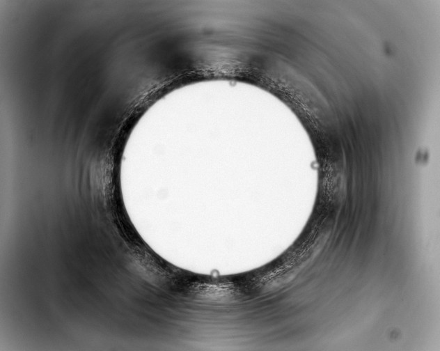 X0000103910548200810101310