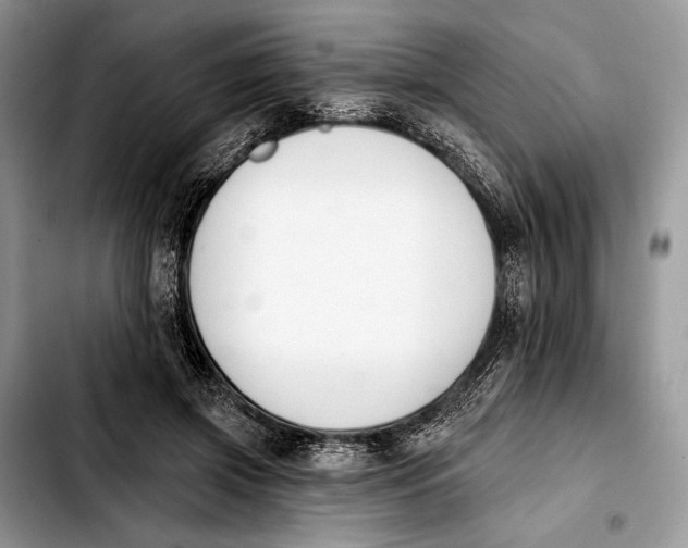 X0000103910549200810101310