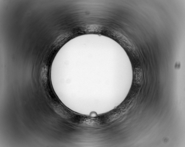 X0000103910550200810101310