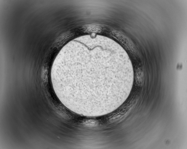 X0000103910551200810101310