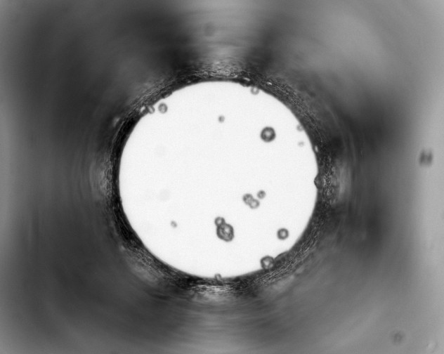 X0000103910552200810101310