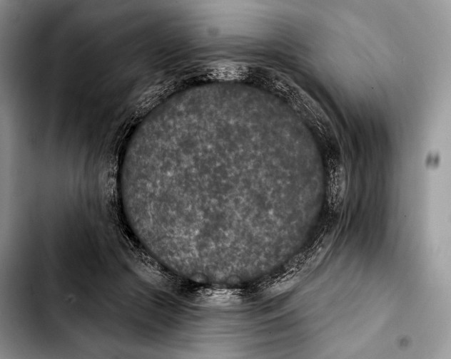 X0000103910553200810101310