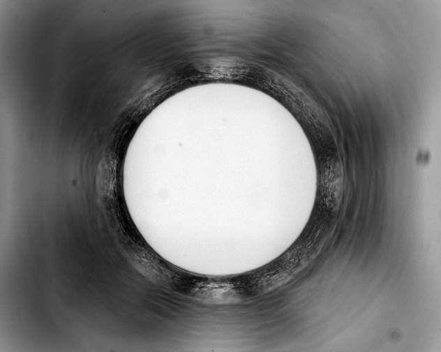 X0000103910554200810101310