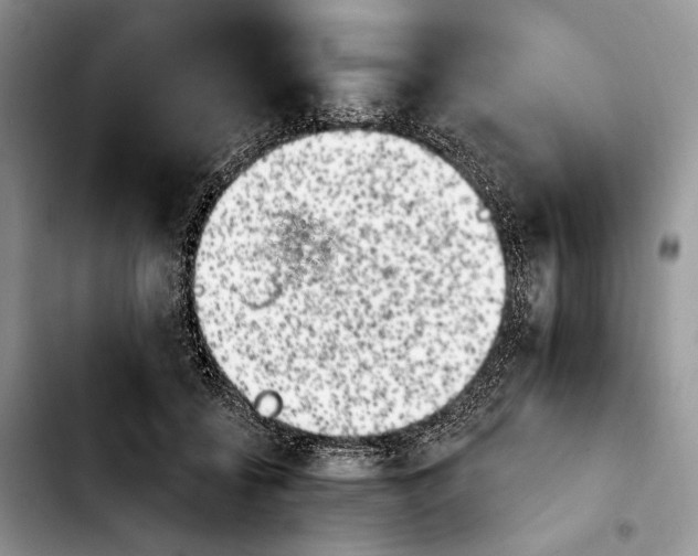 X0000103910556200810101310