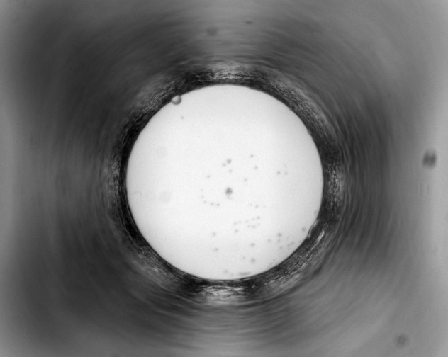 X0000103910557200810101310