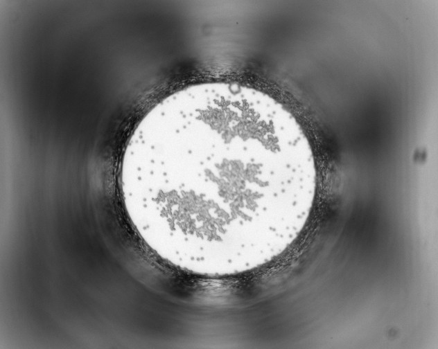 X0000103910558200810101310