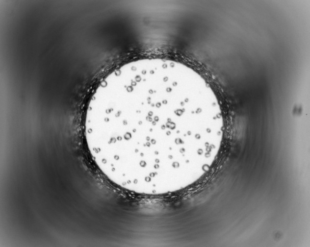 X0000103910560200810101310