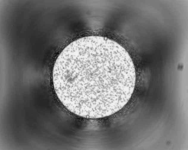 X0000103910562200810101310