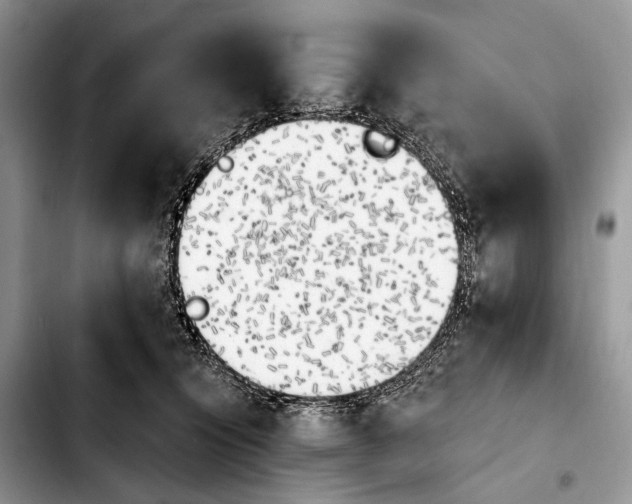 X0000103910564200810101310