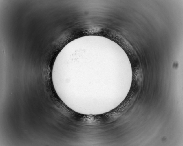 X0000103910565200810101310