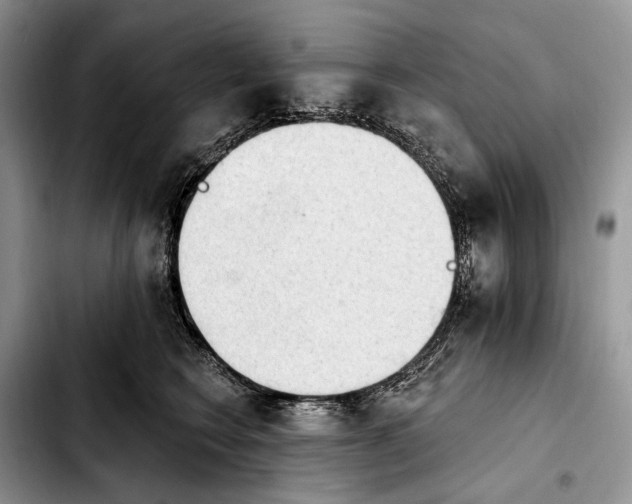 X0000103910566200810101310