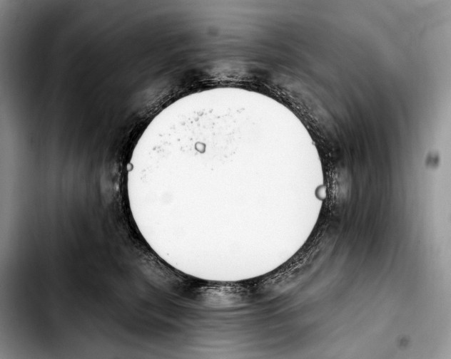 X0000103910567200810101310