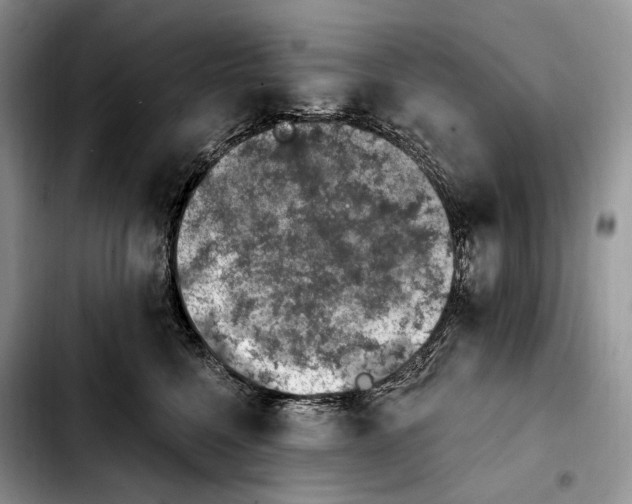 X0000103910568200810101310