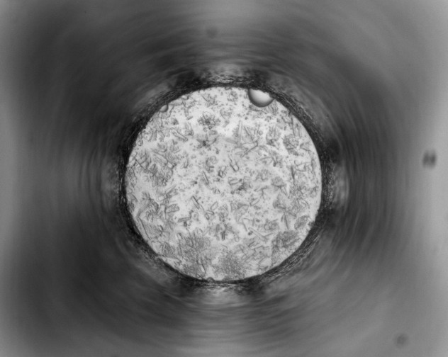 X0000103910569200810101310
