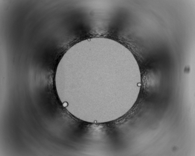 X0000103910570200810101310
