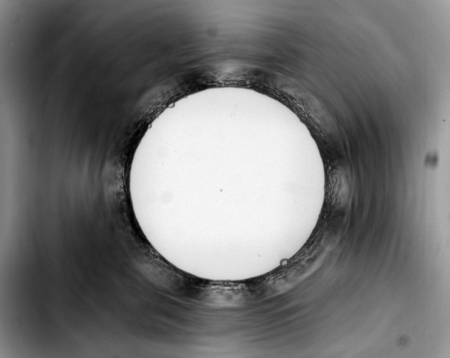 X0000103910571200810101310