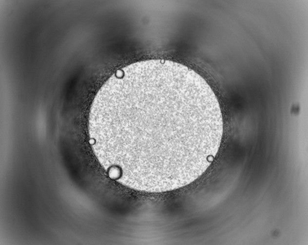 X0000103910572200810101310