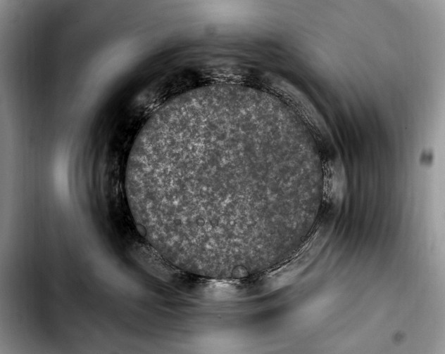 X0000103910573200810101310