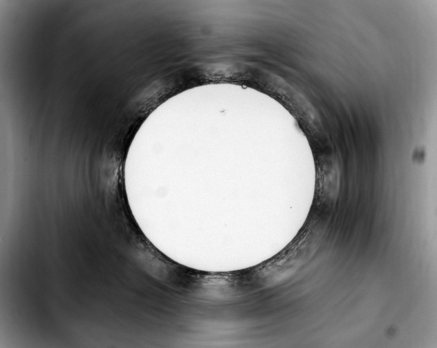 X0000103910574200810101310