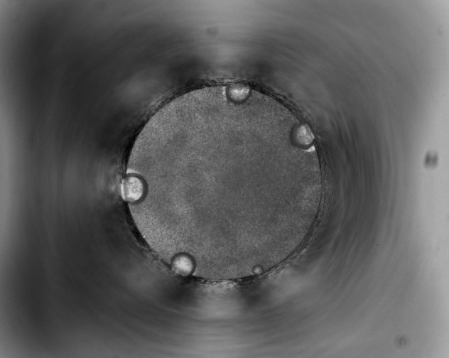 X0000103910576200810101310