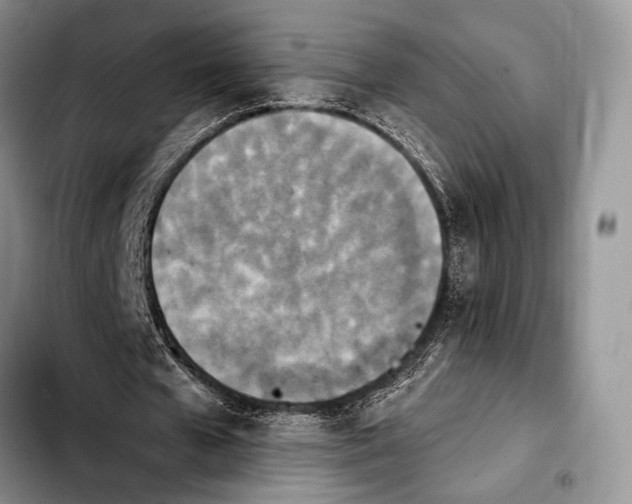 X0000103910577200810101310