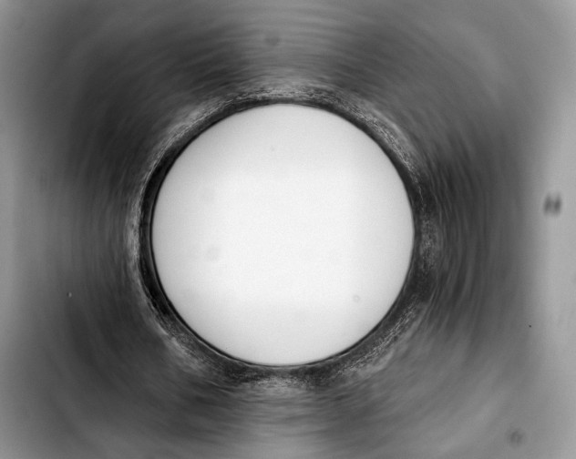 X0000103910578200810101310