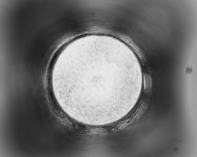 X0000103910579200810101310