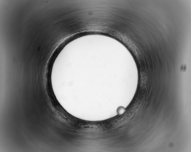 X0000103910580200810101310