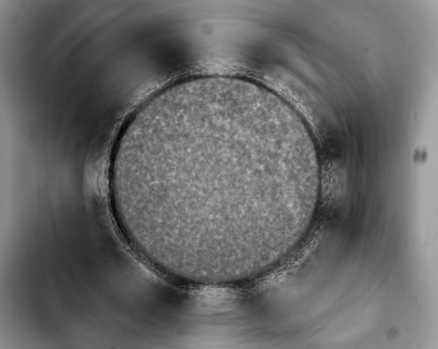 X0000103910581200810101310