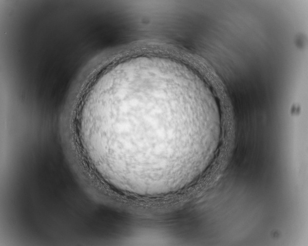 X0000103910583200810101310